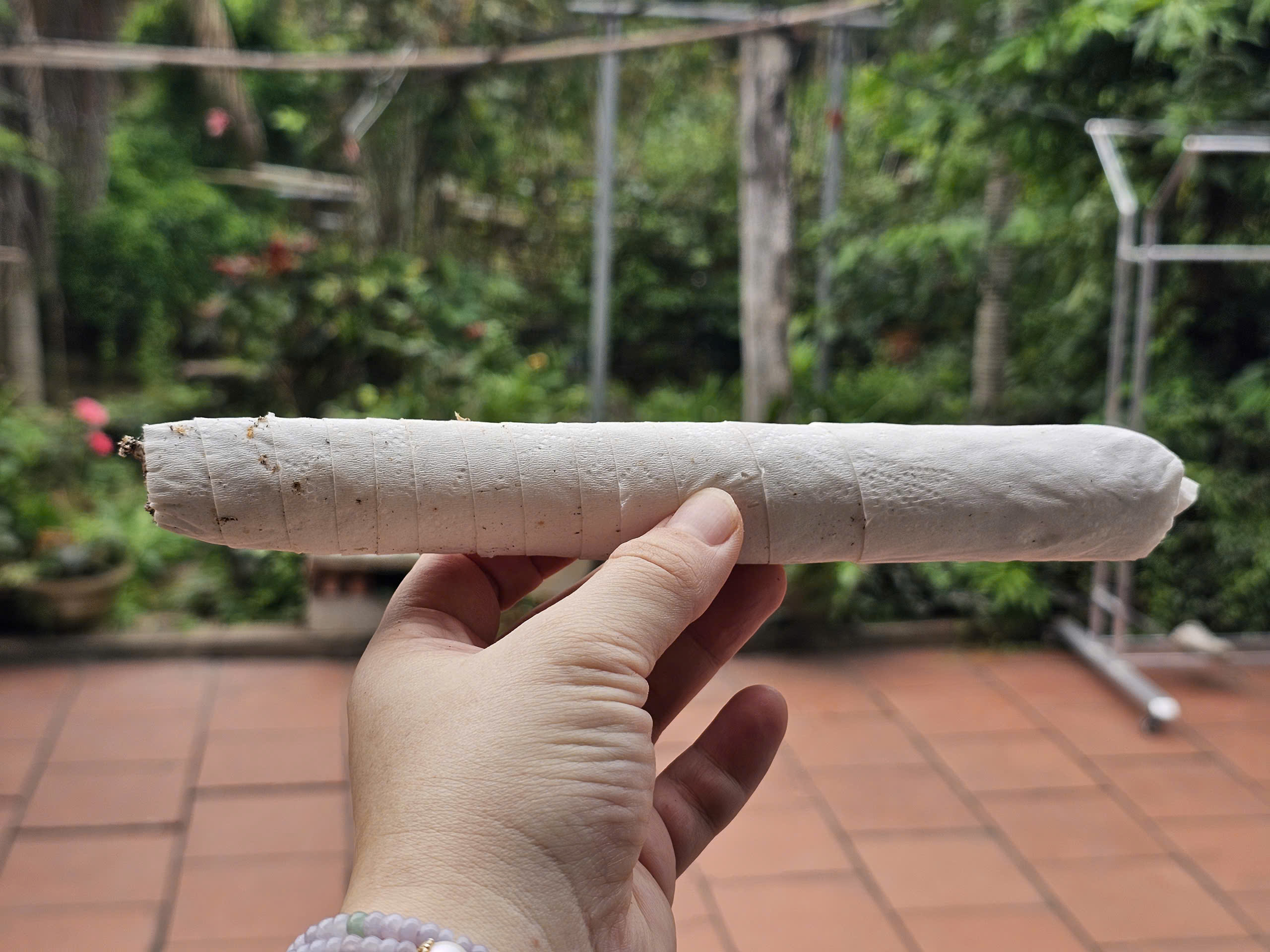 Tết Đoan Ngọ và những nếp xưa phòng bệnh