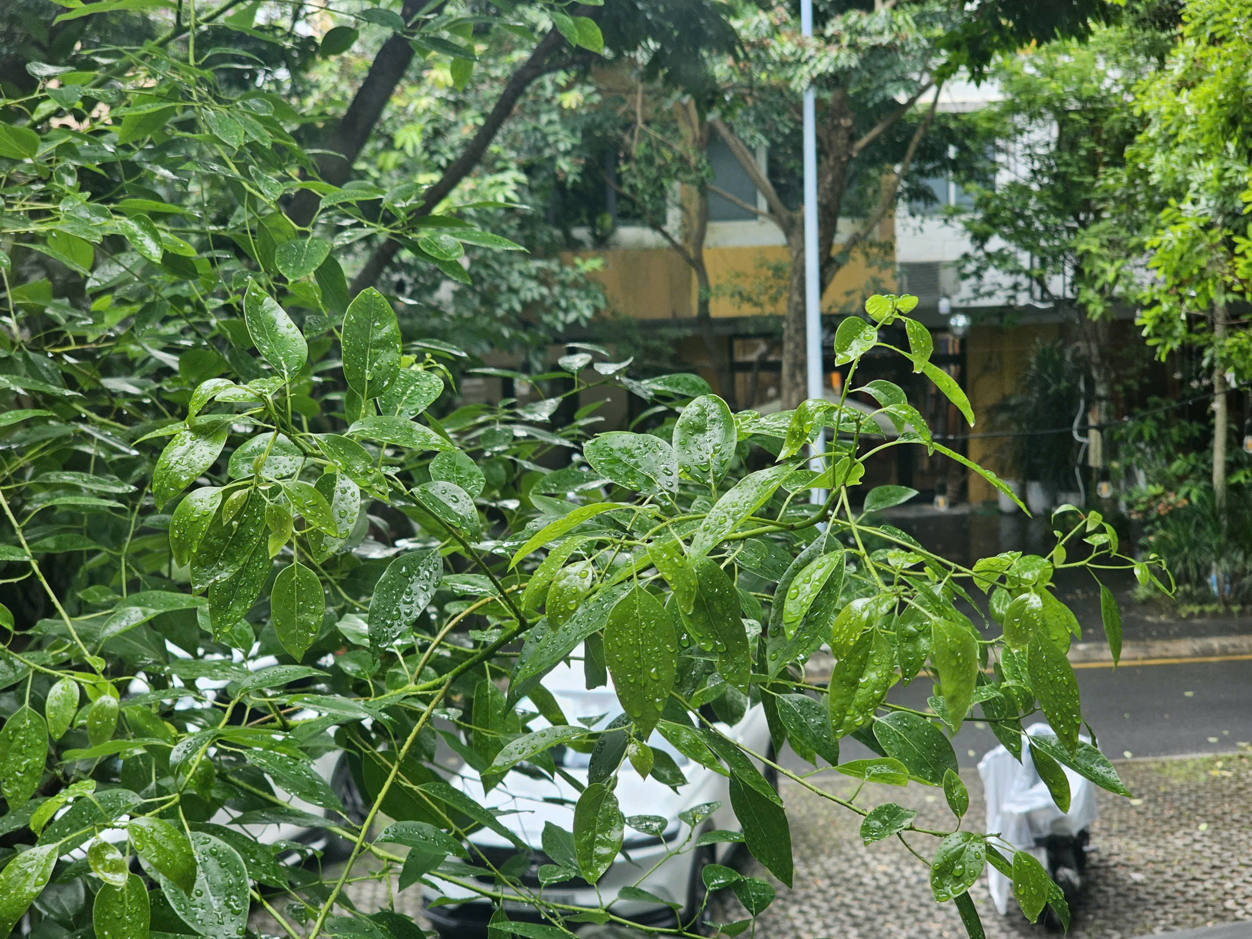 Dưỡng Sinh Tiết Lập Thu: Cách Cơ Thể Thích Nghi Khi Trời Chuyển Mùa